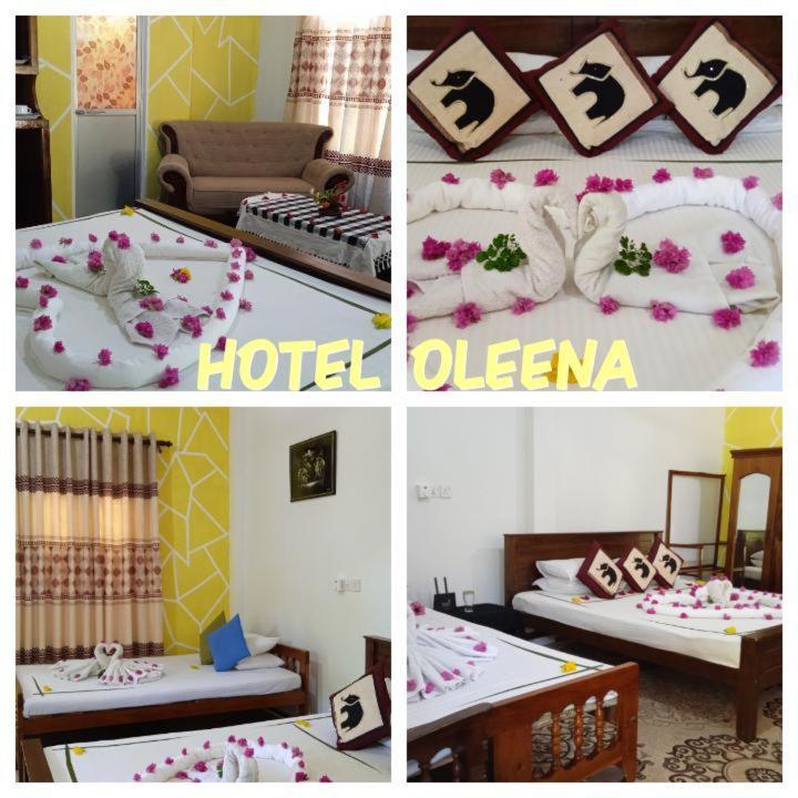 Oleena Home Stay Habarana Exteriör bild