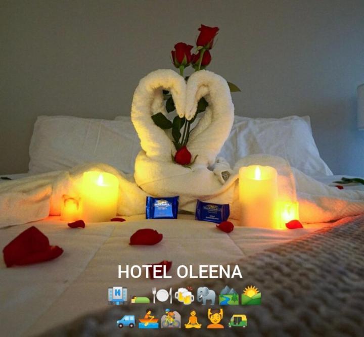 Oleena Home Stay Habarana Exteriör bild