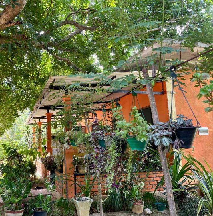 Oleena Home Stay Habarana Exteriör bild