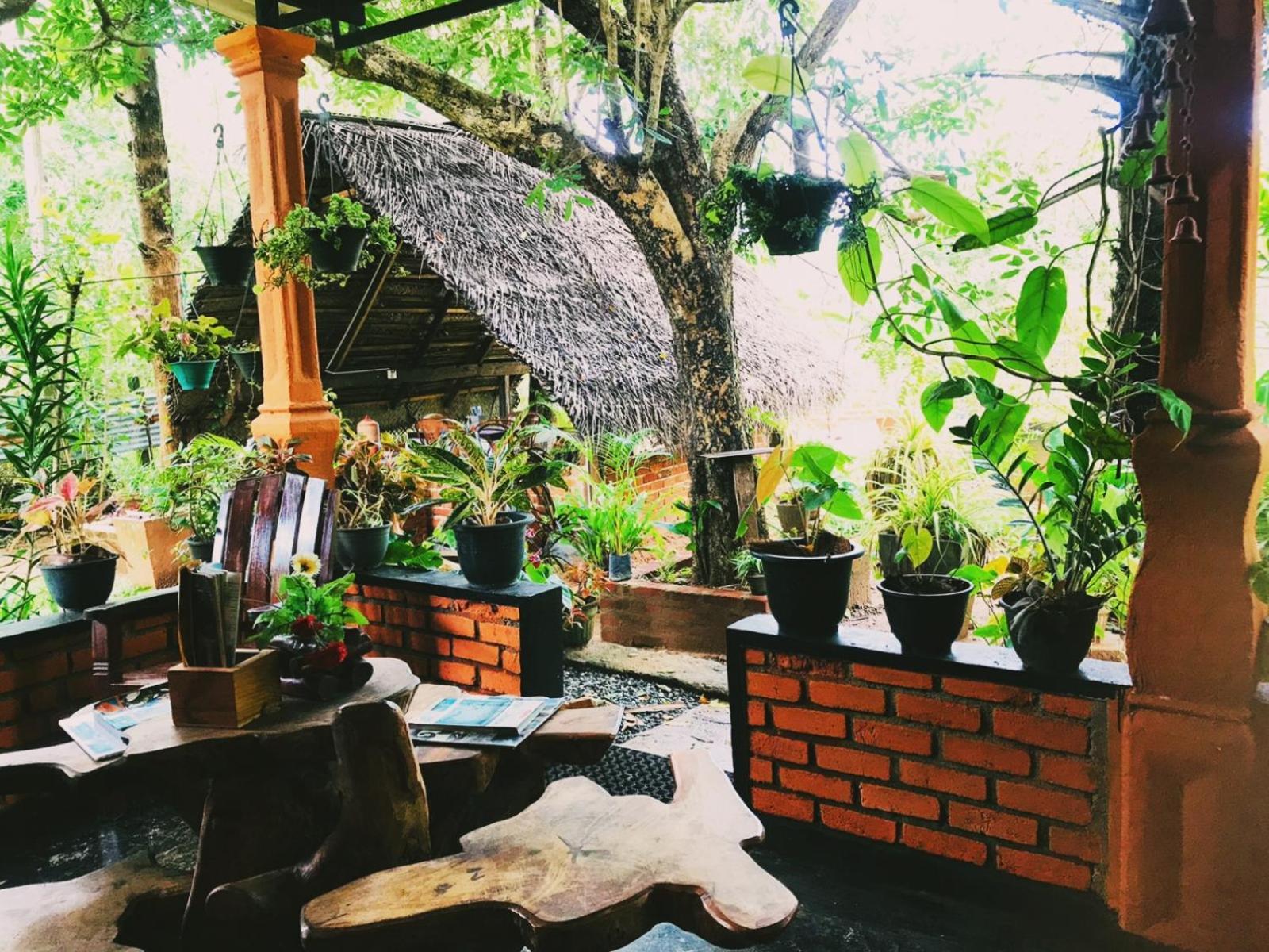 Oleena Home Stay Habarana Exteriör bild