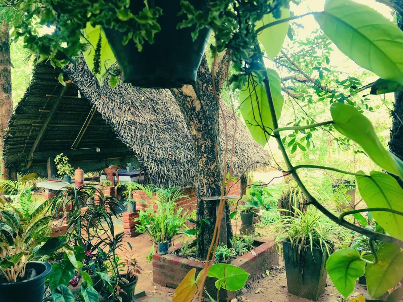 Oleena Home Stay Habarana Exteriör bild